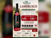 Lambrusco di Modena DOC im Angebot