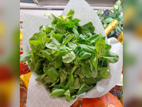 Entdecken Sie unseren k&ouml;stlichen Feldsalat