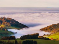 Kosmos Schwarzwald trifft mitten ins Herz