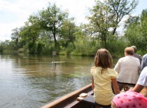 Taubergie&szlig;en Bootsfahrt im Naturschutzgebiet Taubergie&szlig;en