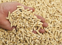 Holzpellets