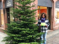 Der W&uuml;nsch-dir-was-Baum