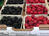Sommer in der Stadt 