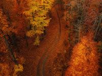 Herbst neu entdecken &ndash; die kybun Kollektion f&uuml;r die dunkle Jahreszeit