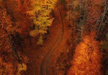 Herbst neu entdecken &ndash; die kybun Kollektion f&uuml;r die dunkle Jahreszeit