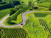 Vom Rebstock zur Landstra&szlig;e: Die sch&ouml;nsten &Uuml;bungsrouten durch die Ortenauer Weinberge