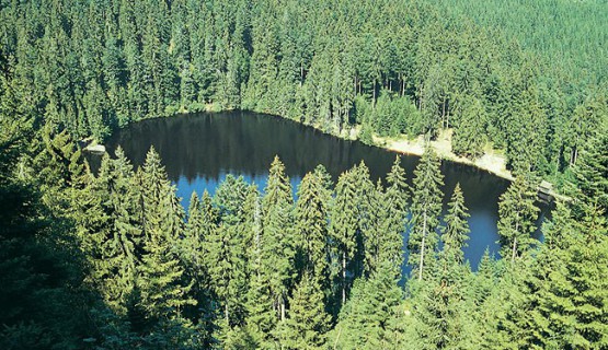 Region Bad Peterstal
