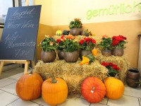 Unsere neue Herbstdekoration und Gestecke