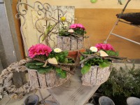 Der Fr&uuml;hling zieht ein im Blumen Kiesel