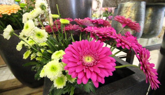 Blumen