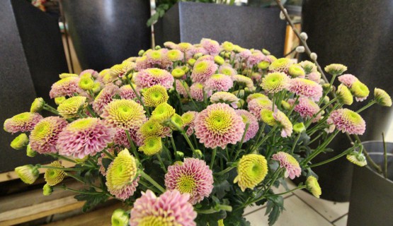 Blumen
