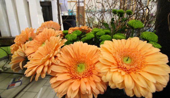 Blumen