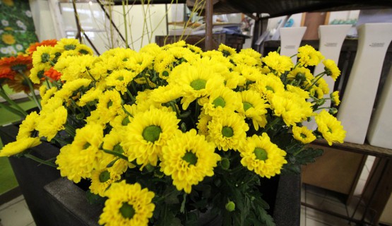Blumen
