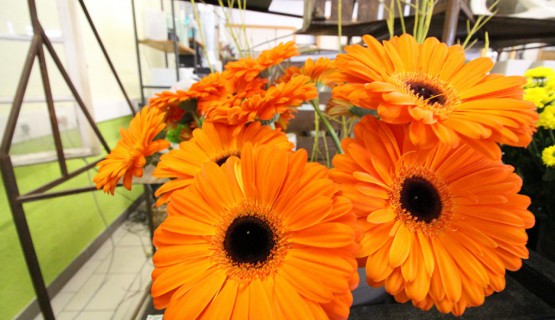 Blumen