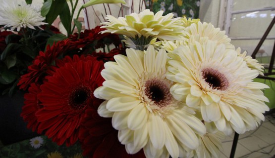 Blumen