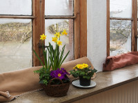Interessanter Vergleich zwischen PV-Anlage und Fensterabdichtung 