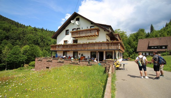 Impressionen
