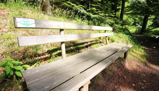 Zum Wiesensteig