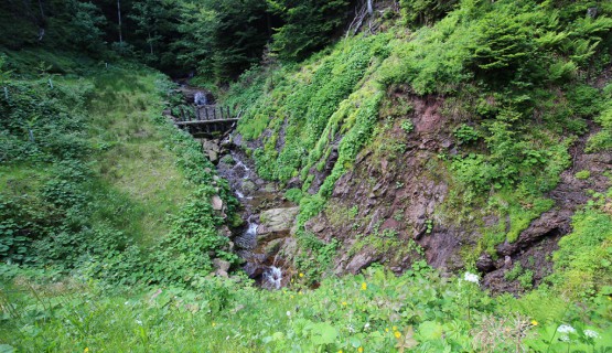 Impressionen