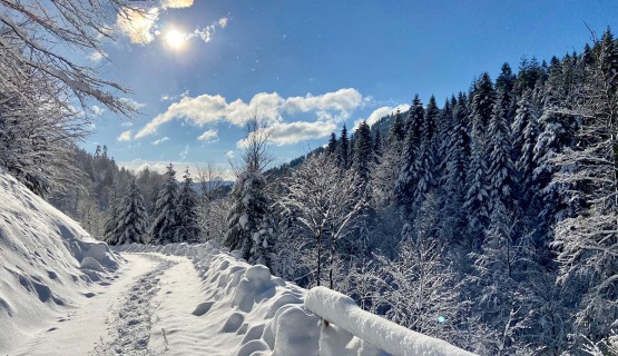 Winter Impressionen