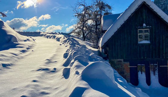 Winter Impressionen