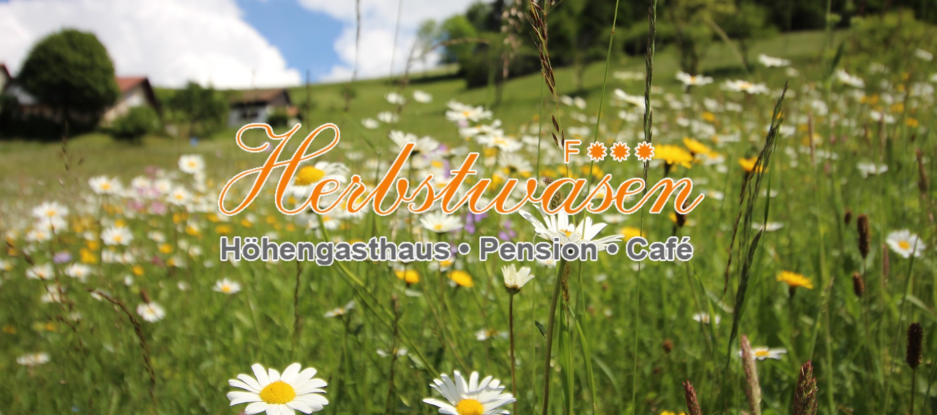 Herbstwasen
