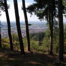 R&uuml;ckblicke