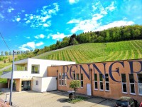 Was f&uuml;r ein Fr&uuml;hlingstag - Familien-Weingut Renner