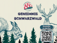 Geheimnis Schwarzwald - Erlebnis und Genuss der besonderen Art