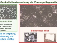 Mal was Allgemeines zum Thema Viren (Thema der Woche)
