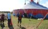Circus Bely
