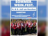 50 Jahre Frauenpower &ndash; &Uuml;ber 350 Musikerinnen bilden das gr&ouml;&szlig;te Frauen-Blasorchester Baden-W&uuml;rttembergs