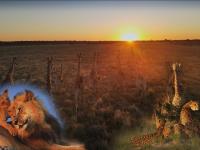 60 Jahre Botswana: Matto Barfuss schenkt dem Land ein Musikvideo
