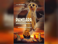 Matto Barfuss im RegioGespr&auml;ch - PAMBARA - Baden-W&uuml;rttemberg Premiere am 7. Oktober in Offenburg