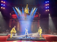 Am 20. Dezember feiert die neue Show des Offenburger Weihnachtscircus Premiere