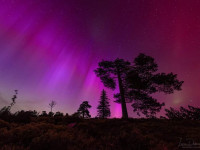 Faszinierende Polarlichter begeistern Bewohner der Ortenau: Ein himmlisches Schauspiel am n&auml;chtlichen Himmel!