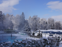 #RegioFenster: Badenweiler im Winter &ndash; Ein Geheimtipp f&uuml;r romantische Nostalgiker