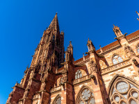 #RegioFenster: Freiburgs M&uuml;nstermarkt lockt mit neuer Feinkost-Tour