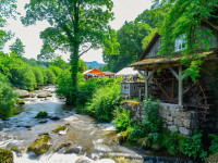 Deutscher M&uuml;hlentag 2026 im Achertal: M&uuml;hlen, Musik und Familienausflug in Ottenh&ouml;fen und Seebach