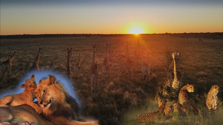60 Jahre Botswana: Matto Barfuss schenkt dem Land ein Musikvideo