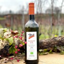 Souvignier Gris, halbtrocken - Weingut Iber Ettenheimweiler