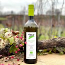 Johanniter, trocken - Weingut Ibert Ettenheimweiler