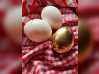 Es war einmal... Das goldene Ei