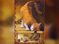 Es war einmal... Fliege, Spinne, Katze und Maus