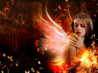 Wie Phoenix aus der Asche