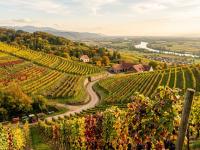 Goldene Ortenau - der Herbstausflug f&auml;ngt hier an