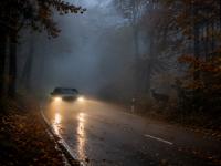 Fahren im Herbst: Nebel, N&auml;sse und Wildwechsel