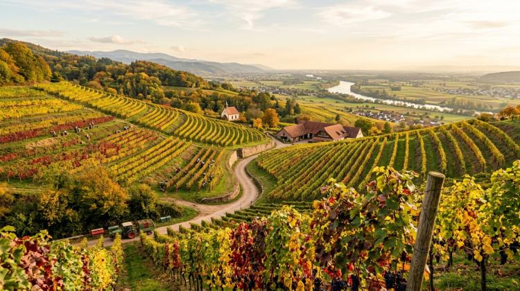 Goldene Ortenau - der Herbstausflug f&auml;ngt hier an