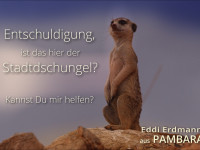 Weltpremiere des Kinofilms und der Kampagne "Natur ist das Wertvollste, was WIR haben" in Berlin