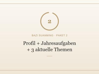Pers&ouml;nlichkeitsprofil + Jahresaufgaben + 3 aktuelle Themen
